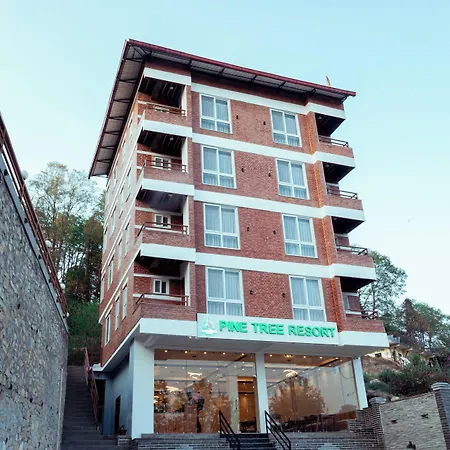 Pine Tree Resort-2