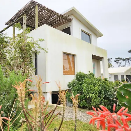 Ostelina Guest House-2