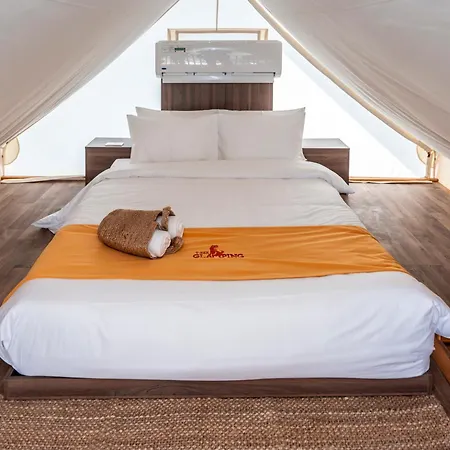 T-Rex Glamping, Dubai Parks And Resorts-3