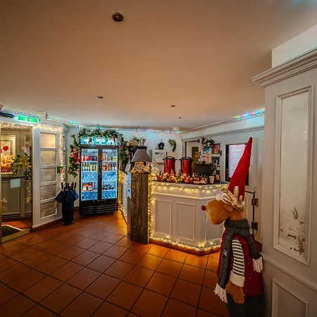 Hotel Baslertor-3