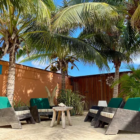 Oasis Guesthouse, Boutique Style Hotel-3