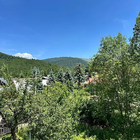 Apartament Potecuta Ursului-3