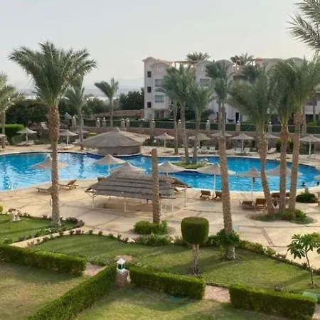 Sunset Pearl Sahl Hasheesh-3