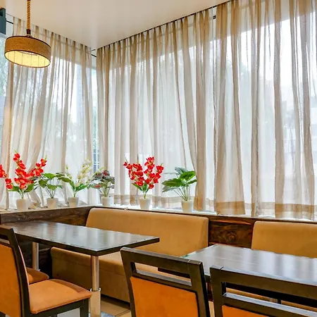 Hotel Lime Pride Near Igi Airport Delhi-3