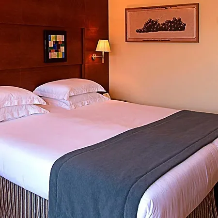 Protur Roquetas Hotel & Spa-2