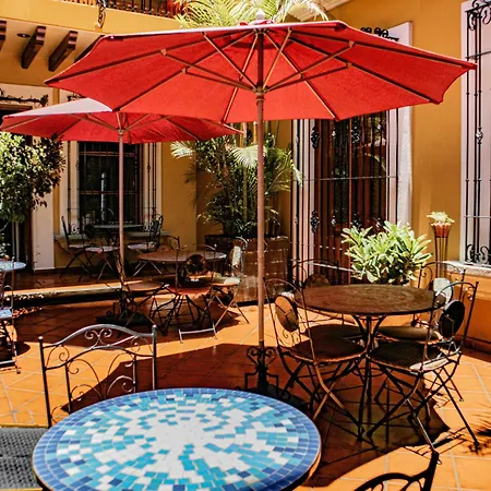 Hotel Boutique Parador San Miguel Oaxaca-3