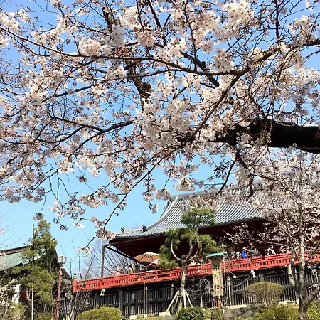 Hotel Mystays Ueno East-2