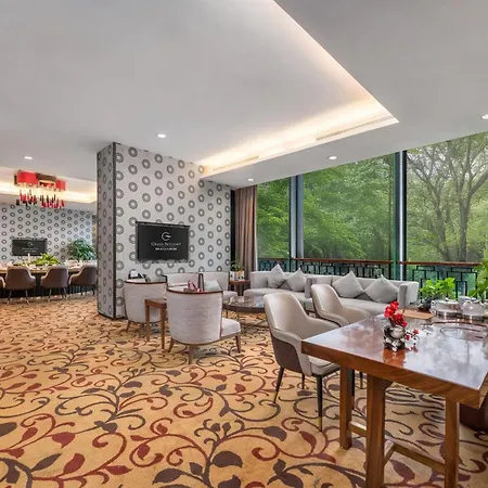 Grand Skylight International Hotel Shenzhen Guanlan, Near Metro Station, Huawei, Foxcnn, Shenzhen North Railway-3