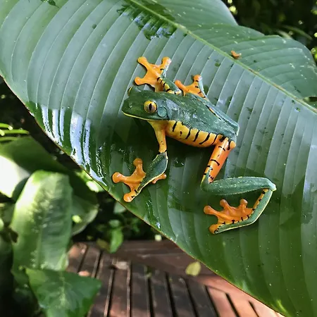 La Kukula Lodge-2