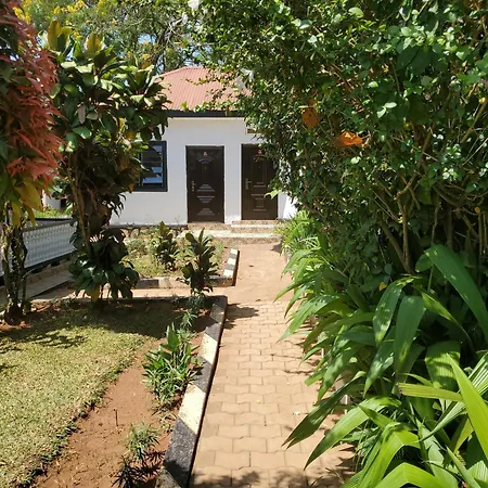 Gorilla African Guest House-3