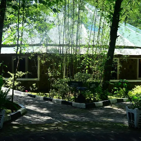 Le Bambou Gorilla Lodge-2