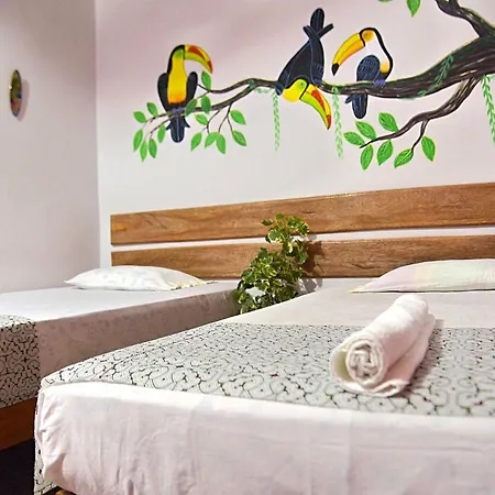 Amazon House Hostel-2