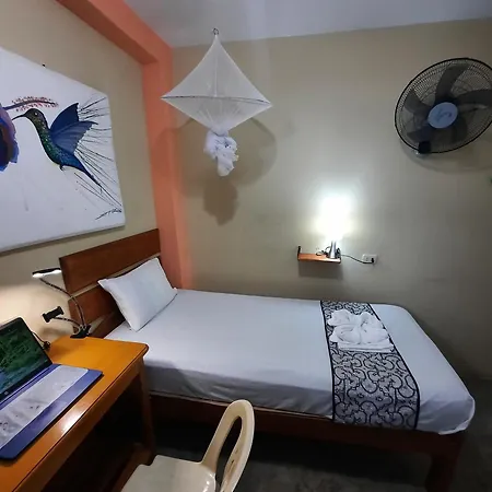Amazon House Hostel-3