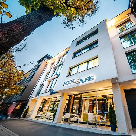 Hotel Auris-2