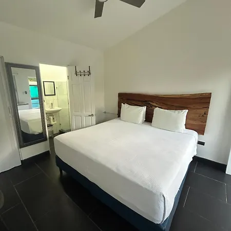 In The Shade Hotel - Coworking - 300Mbit - Adults Only-3