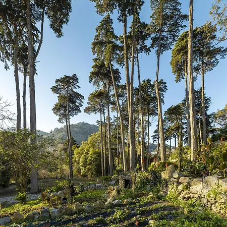 Sintra Marmoris Palace-2