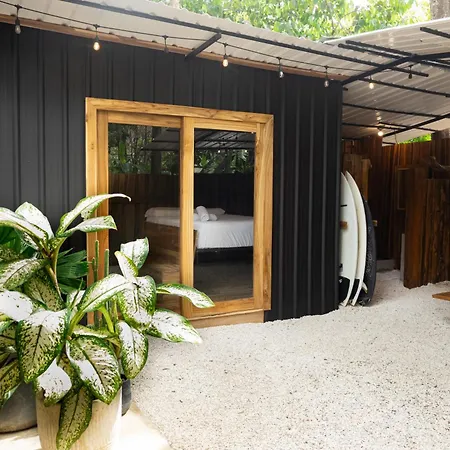 Zeneidas Surf Garden-2
