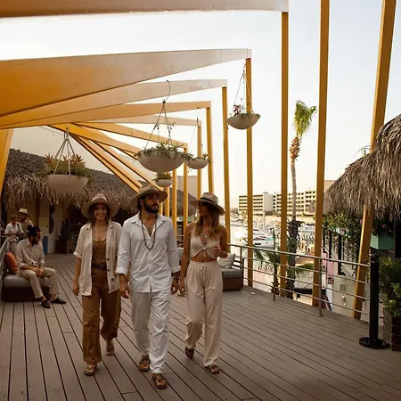 Mayan Monkey Los Cabos - Social Hostel (Adults Only)-2