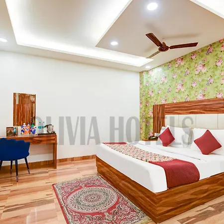 Olivia Hotels - Delhi Airport-2