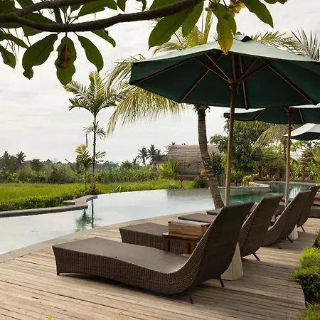 Beehouse Dijiwa Ubud-3