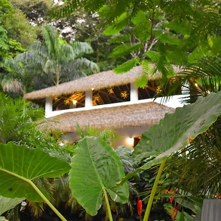 Vayu Retreat Villas-3