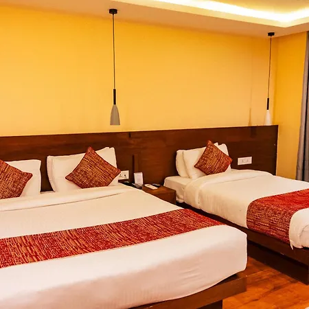 Apex Business Hotel - Tribhuvan International Airport, Kathmandu-3