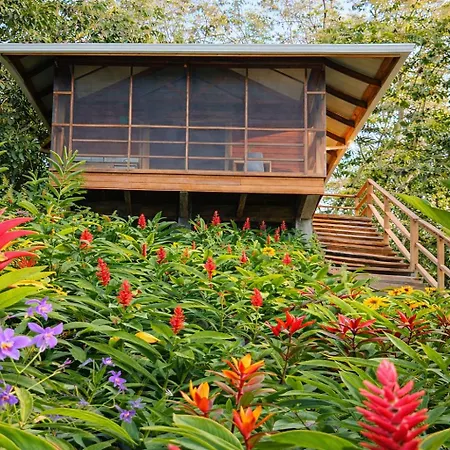Akwaba Lodge Island Boutique Hotel-3