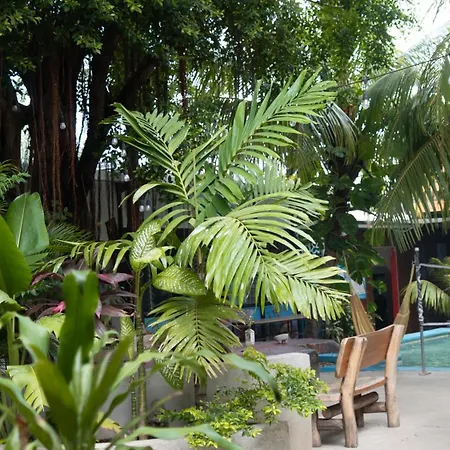 Surf Town Hostel-3