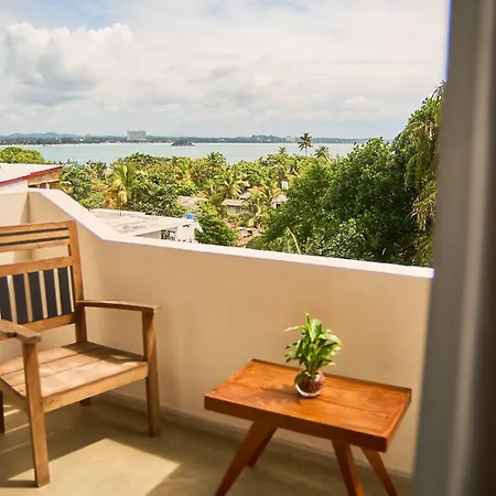 Casa Banana-2