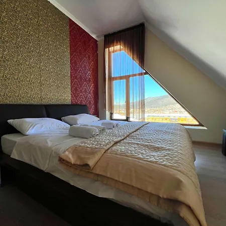 Travel Inn Bakuriani-3