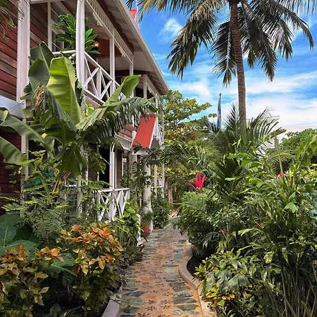 Caye Caulker Boutique Guesthouse 5-2