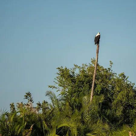 Shakawe River Lodge-3