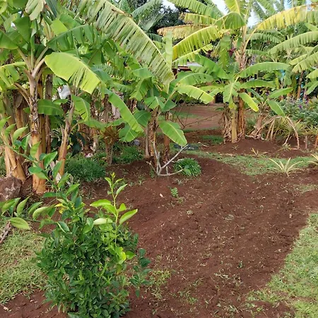Rapa Nui Oficial-3