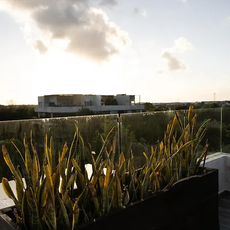 Amazing Penthouse & Apartment With Private Pool, Terrace , Roof Top And Hot Tub In Tulum Jungle-2