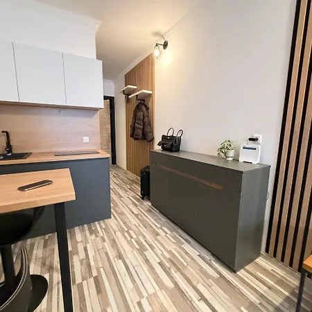 Evis Ltd Apartments Gudauri-2