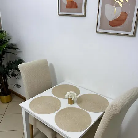 Elite Studio At Dubai Marina-3