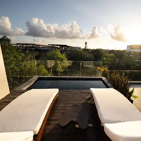 Amazing Penthouse & Apartment With Private Pool, Terrace , Roof Top And Hot Tub In Tulum Jungle-3
