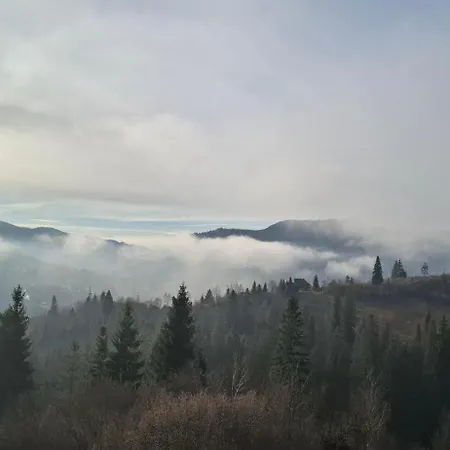 Біля Лісу Апартименти З Двома Спальнями-3