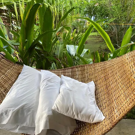 Siargao Residency - Generator & Starlink-2
