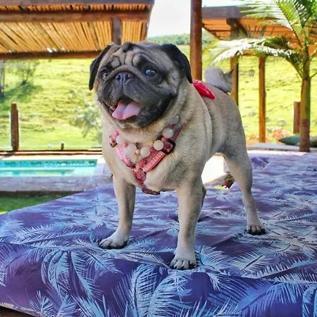 Villa Aye Socorro Sp - Pousada Petfriendly-3