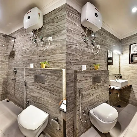 Hotel Aerocity Purple Orchid-3