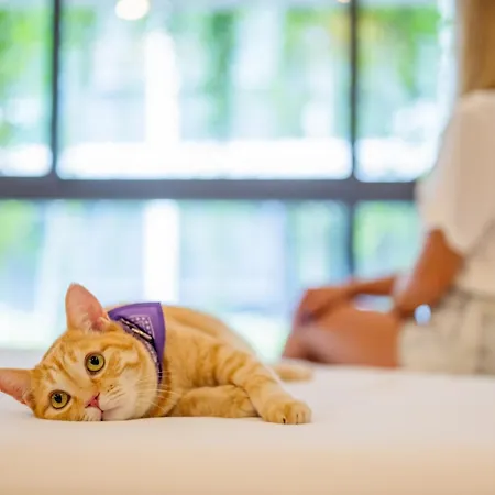 Homa Phuket Town-2