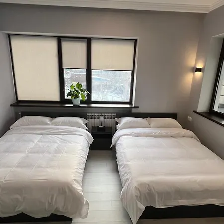Mutu 酒店-3