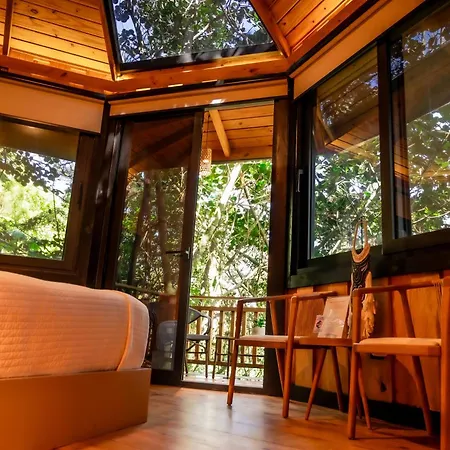 The Grand Forest Jarabacoa-3