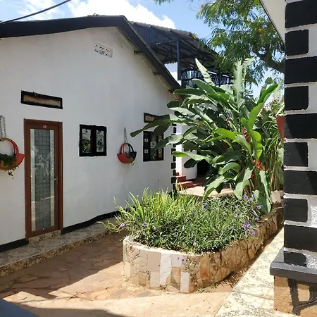 Gorilla Tours And Travel Africa Ltd-3