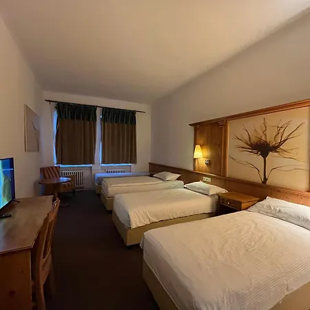 Hotel Branik-2