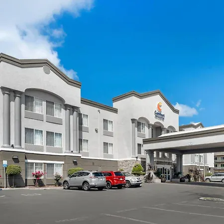 Comfort Inn & Suites Sacramento - University Area-2