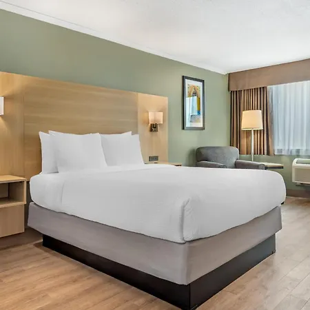 Best Western Plus Ottawa City Centre-2