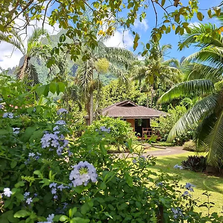 Eco Lodge Village Temanoha-2