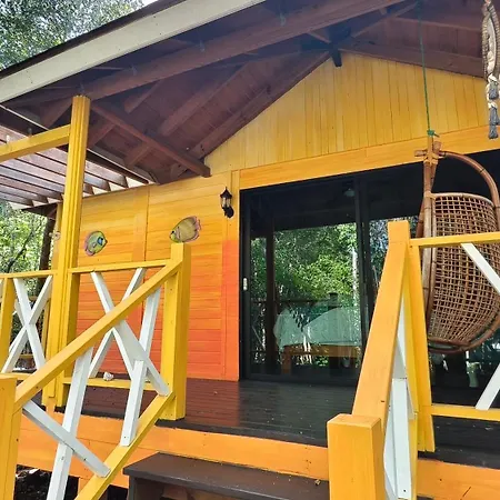 Energy Tulum Holistic Ranch-2